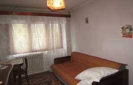 Apartament 2 camere, 53 mp, pet friendly,  zona Albac