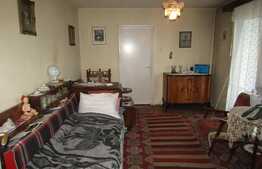 Apartament 2 camere, 53 mp, pet friendly,  zona Albac