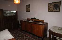 Apartament 2 camere, 53 mp, pet friendly,  zona Albac