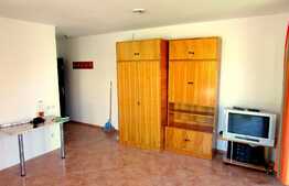 Garsoniera, 28 mp, pet friendly, parcare, zona Restaurant Da Vinci