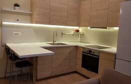 Apartament 2 camere, prima inchiriere, zona Casa de Cultura a Studentilor