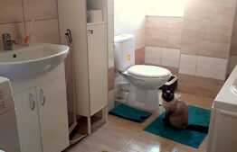 Apartament 1 camera, 40 mp, prima inchiriere, A.C., zona Autogarii