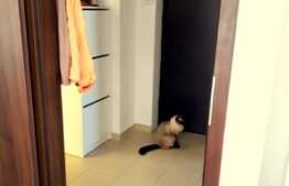 Apartament 1 camera, 40 mp, prima inchiriere, A.C., zona Autogarii