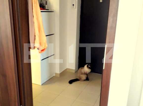 Garsonieră de închiriat Dambul Rotund - 31732AI | BLITZ Cluj-Napoca | Poza8