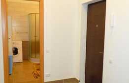 2 camere, 50 mp, garaj, totul nou, zona strazii Traian