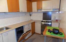 2 camere, 55 mp, imobil tip casa, curte comuna, zona strazii Constantin Brancusi