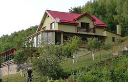 Casa de vacanta de 220 mp utili, teren de 1017 mp! Zona Muntele Rece! Priveliste deosebita ! 