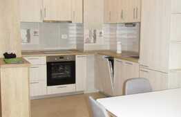 Apartament 2 camere, 50 mp, prima inchiriere, AC, Complex Viva City