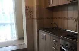 De vanzare apartament 2 camere, 49 mp, boxa, zona Kaufland