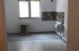 Garsoniera renovata, 22 mp, zona strazii Corneliu Coposu