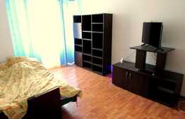 Apartament 1 camere, 45 mp, balcon, pet friendly, zona Complex Iris Residence