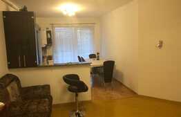 Vanzare apartament cu 2 camere, 58,4 mp! Zona strazii Florilor!