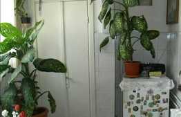 1 camera in zona buna din Manastur!