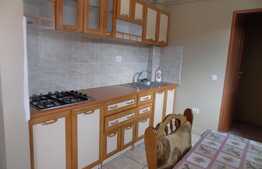 De inchiriat apartament cu 2 camere, 52 mp! Zona Tauti!