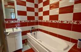 Apartament cu 2 camere, 52 mp, decomandat! Zona Tauti! Loc de parcare!