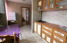 Apartament cu 2 camere, 52 mp, decomandat! Zona Tauti! Loc de parcare!