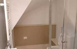 Casa de inchiriat 11 camere, 350 mp, teren de 250 mp, front 60 mp zona Campului