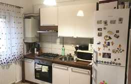 Apartament cu 2 camere, 56 mp, mobilat si utilat! Zona strazii Stejarului!