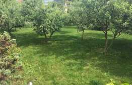 Casa individuala, 600 mp utili, 640 mp teren, Andrei Muresanu 