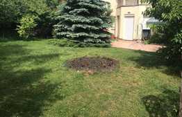 Casa individuala, 600 mp utili, 640 mp teren, Andrei Muresanu 