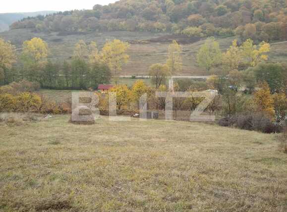 Teren de vânzare Floreşti - 31838TV | BLITZ Cluj-Napoca | Poza1