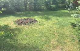 Casa de vanzare 600 mp, teren 1300 mp, front stradal 35 ml 