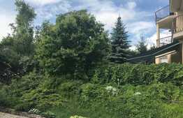 Casa de vanzare 600 mp, teren 1300 mp, front stradal 35 ml 