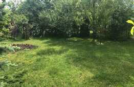 Casa de vanzare 600 mp, teren 1300 mp, front stradal 35 ml 