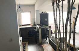 Apartament cu 2 camere, 54 mp, pod de 10 mp! Zona strazii Sesul de Sus!