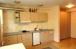 Garsoniera, 32 mp, pet friendly, zona Petrom