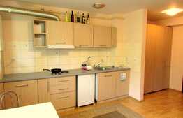 Garsoniera, 32 mp, pet friendly, zona Petrom