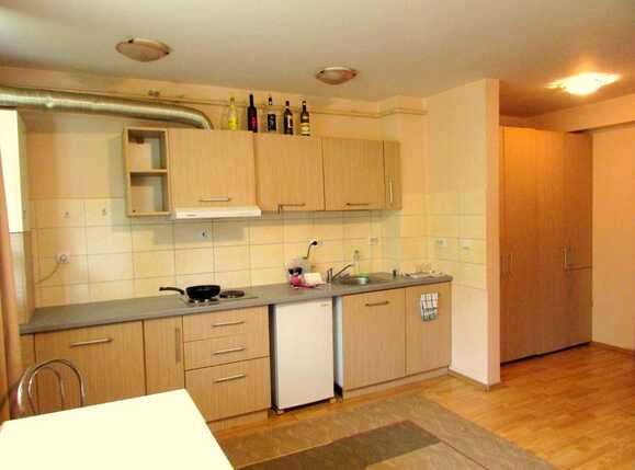 Garsonieră de închiriat Baciu - 31854AI | BLITZ Cluj-Napoca | Poza2