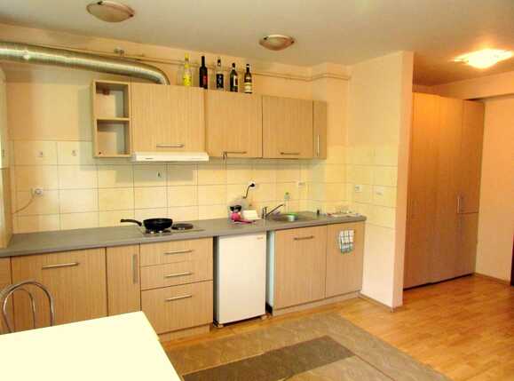 Garsonieră de închiriat Baciu - 31854AI | BLITZ Cluj-Napoca | Poza1