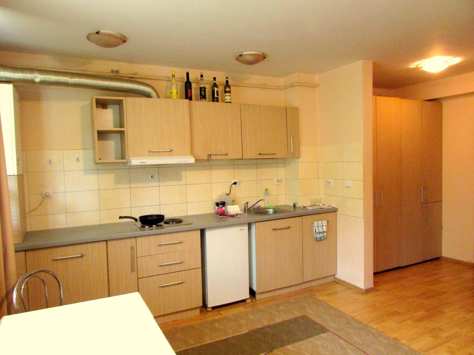 Garsonieră de închiriat Baciu - 31854AI | BLITZ Cluj-Napoca | Poza2