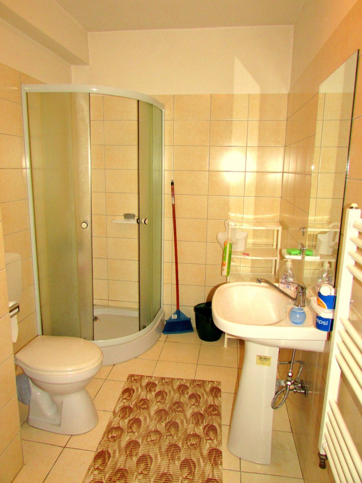 Garsonieră de închiriat Baciu - 31854AI | BLITZ Cluj-Napoca | Poza4