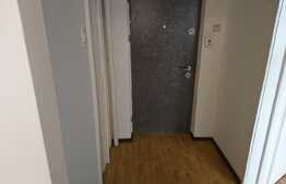 Apartament 2 camere, finisat/mobilat, etaj intermediar, zona Al. Vlahuta