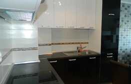 Apartament 2 camere, mobilat modern, garaj, AC., zona Viva City