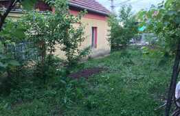 Casa individuala, 120 mp, teren 620 mp, 2 fronturi, Dambul Rotund