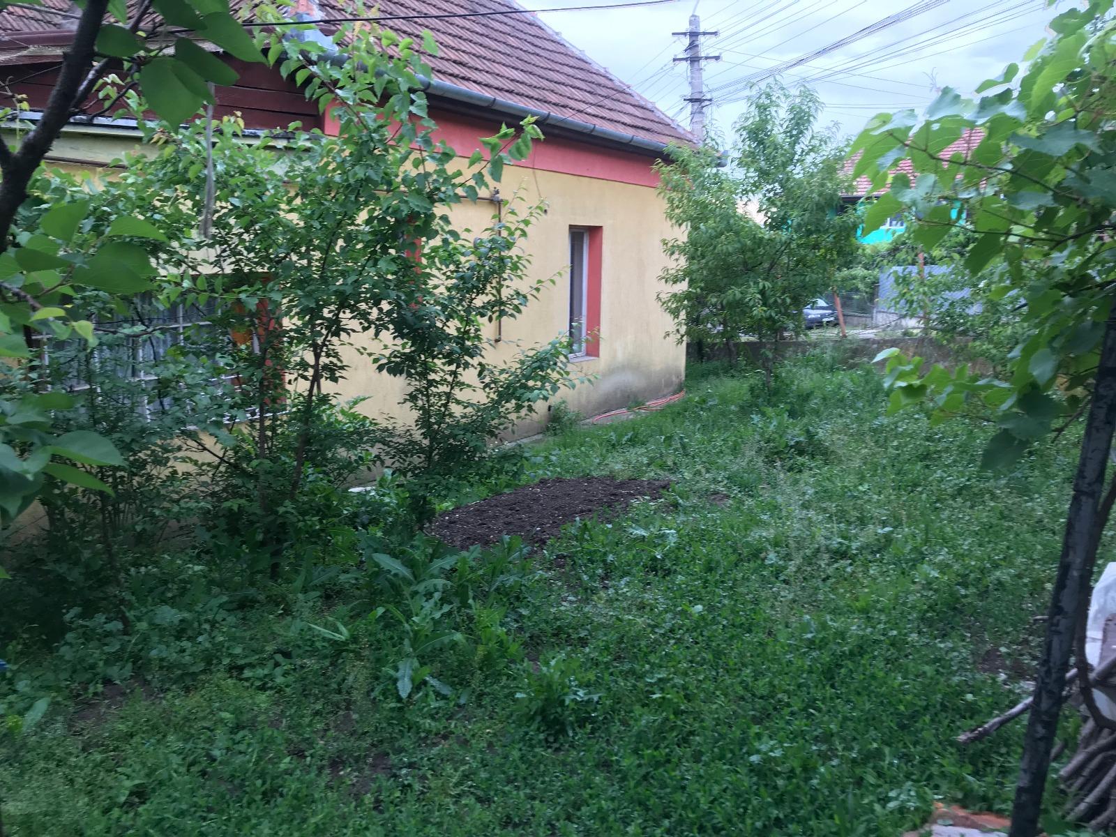 Casa de vânzare 3 camere Dambul Rotund - 31898CV | BLITZ Cluj-Napoca | Poza2