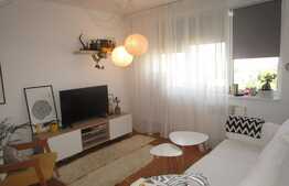 Apartament 2 camere, 48 mp, parcare, mobilat modern, zona strazii Albac