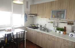 Apartament 2 camere, 48 mp, parcare, mobilat modern, zona strazii Albac