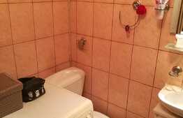 De vanzare garsoniera, 20 mp, boxa, zona Bulevardul Muncii