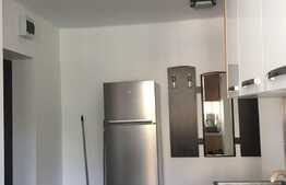 Apartament 2 camere, 50 mp, mobilat modern, zona Piata Mihai Viteazu