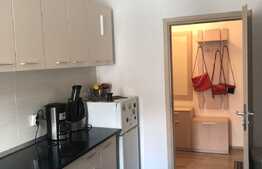 Garsoniera de vanzare 43 mp, loc de parcare, zona strazii Florilor