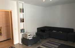 Garsoniera de vanzare 43 mp, loc de parcare, zona strazii Florilor