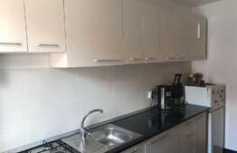 Garsoniera de vanzare 43 mp, loc de parcare, zona strazii Florilor