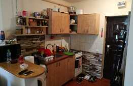 De vanzare garsoniera, 22 mp, zona strazii Fabricii