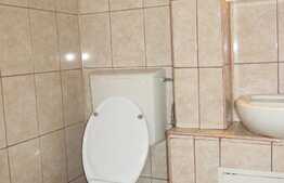 Apartament 2 camere, decomandat, 45 mp, pet friendly, zona Big