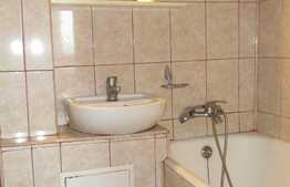 Apartament 2 camere, decomandat, 45 mp, pet friendly, zona Big