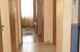 Apartament 2 camere, decomandat, 45 mp, pet friendly, zona Big